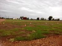 N.A plot for sale